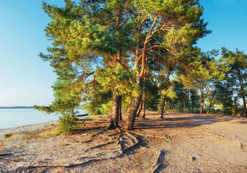 Camping ved sjøen i Toscana til salgs