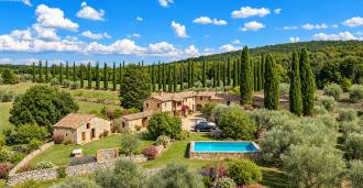 Tomt med oliventrær til salgs nær Siena, Toscana